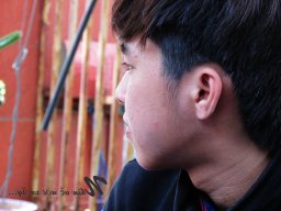 dangquangluyt