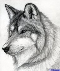 Ripery
