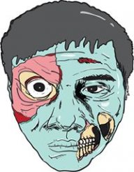 VingoVN