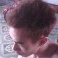 HaPlus