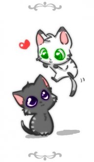 neko14