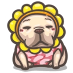 Jing