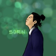 Sorin