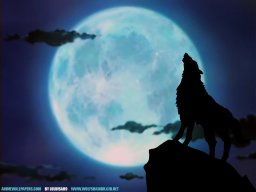 WolfBoy