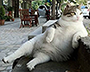QuangNhat88