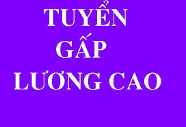 thuyquy10