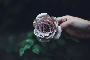 Dương Hồng Xoa