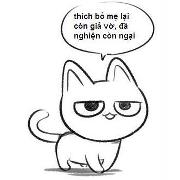 Rồng Con