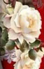 Hien_22
