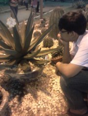 lenhan