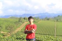 Hoangf Gia Minh