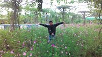 thaohop1234