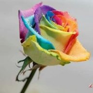 ngoclong12021987