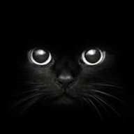 Đặng Đức Thắng