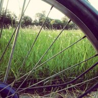 Dương Phạm Trúc Anh