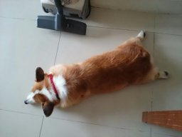 Mr_Minh