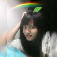 P.fire.fairy