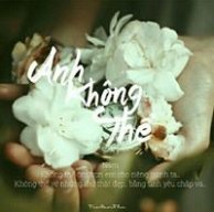 Mẫn Thế hihi