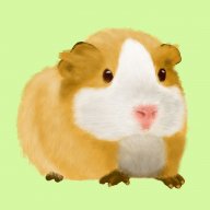 Hamitu