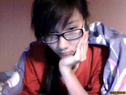việt chinh