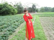 Cỏ Bướng Bỉnh