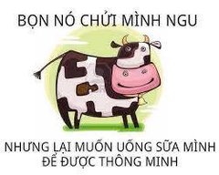 Lê Nguyễn Hoàng Bắc