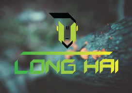 dhoanglonghai