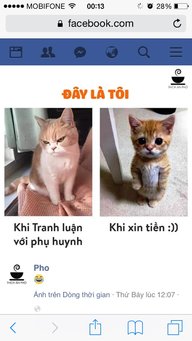 tien1811