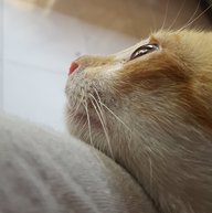 LeQuynh.lq