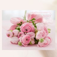 Phạm Thế Quyền Miru