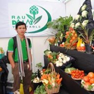 Điện tử Nhật Tảo