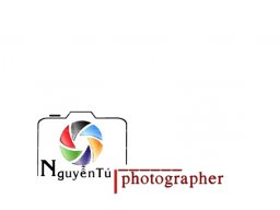 Nguyentuphoto