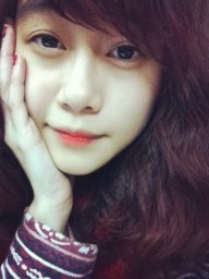 Hoa Tranh
