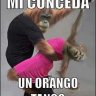 zozorozo