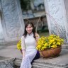HOAHONGTRONGCAT