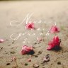 Floral Rain