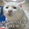 davidhai01