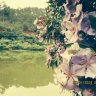 NGOCLOAN