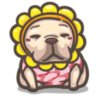 Jing