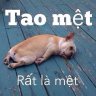 Bùi Quốc Khánh