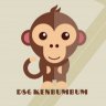Dsg Kenbumbum