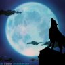 WolfBoy