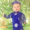 Voii Rừng