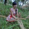 chim sau