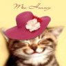 meohoang225