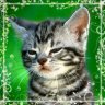Silverie96