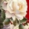Hien_22