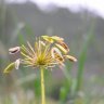 quangnha0101