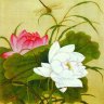 Vũ Phương Dung