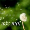 leecot